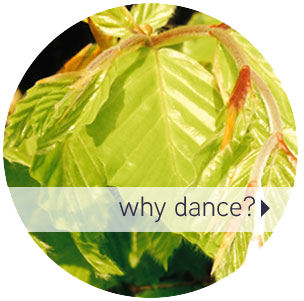 Why Dance